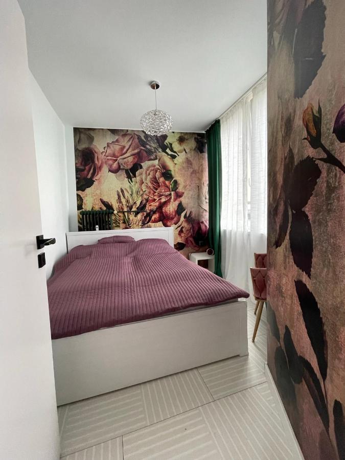 Bright: Flat With Balcony - Kitchen - Free Parking Apartment *